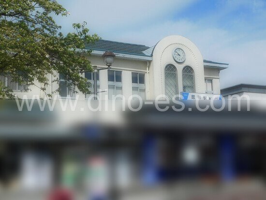 館林メンズエステの駅前の写真です。picture of Tatebayashi station where to find spa and massage salons