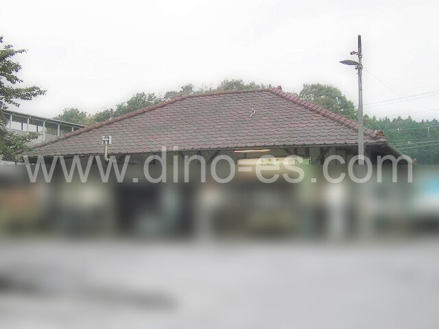 多田(栃木)メンズエステの駅前の写真です。picture of Tada station where to find spa and massage salons