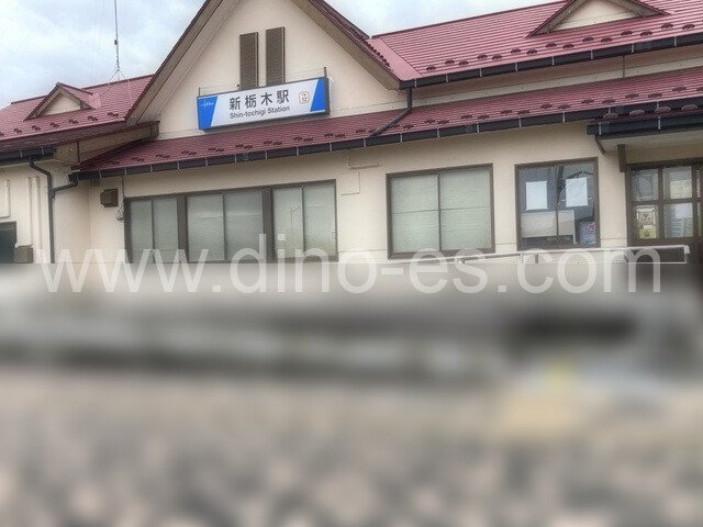 新栃木メンズエステの駅前の写真です。picture of Shin-Tochigi station where to find spa and massage salons