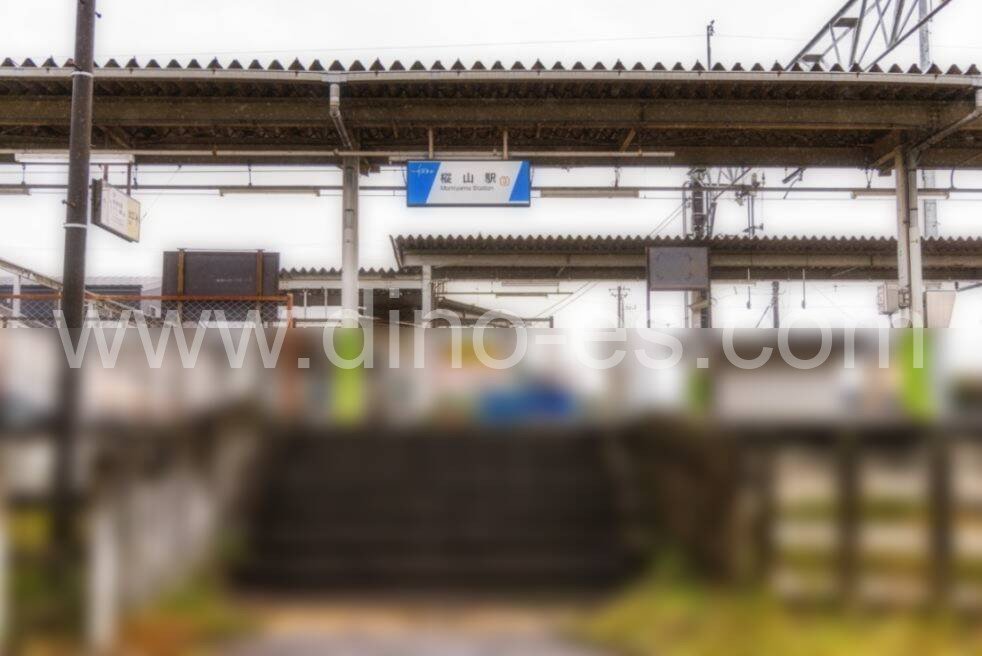 樅山メンズエステの駅前の写真です。picture of Momiyama station where to find spa and massage salons