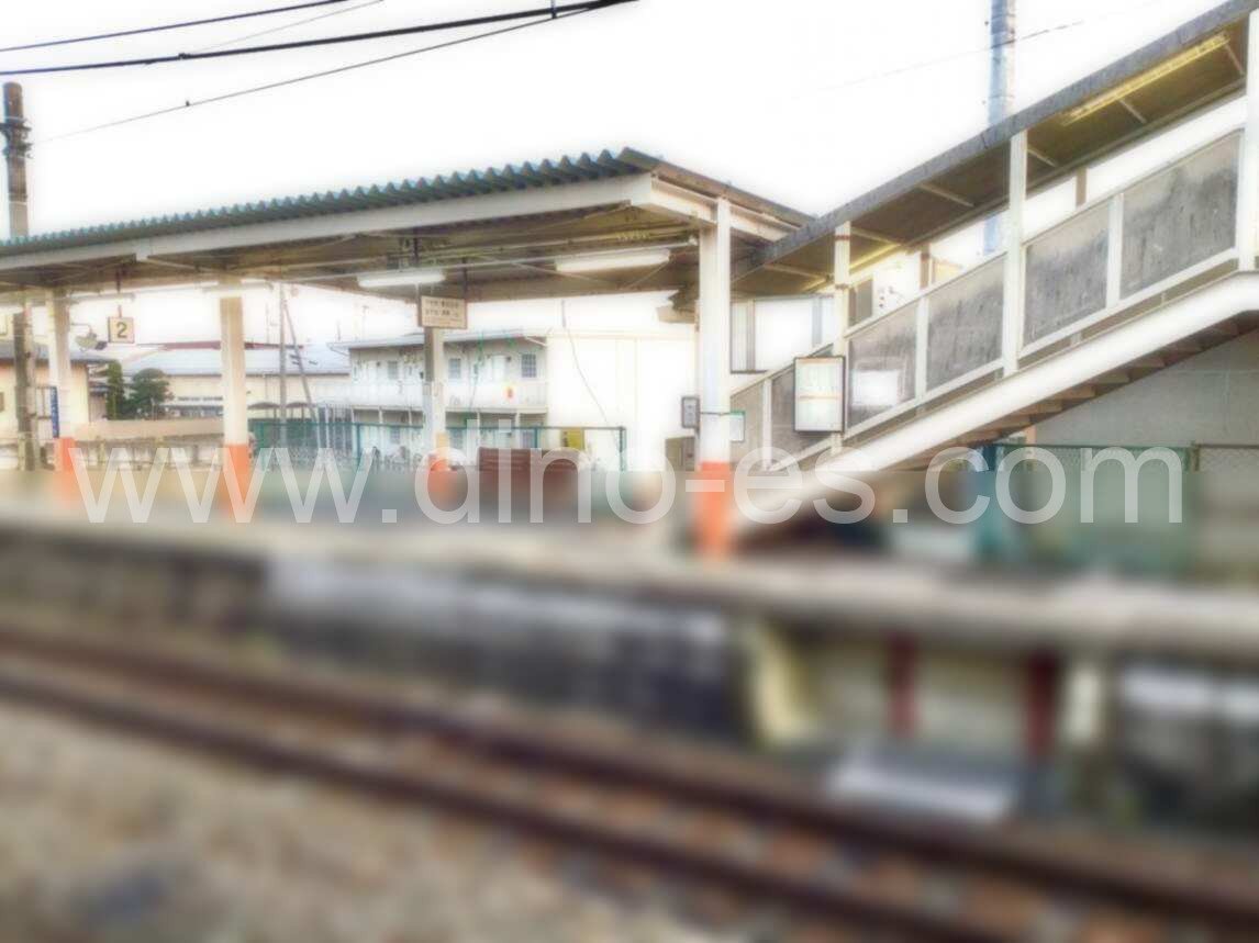 大谷向メンズエステの駅前の写真です。picture of Daiyamukō station where to find spa and massage salons