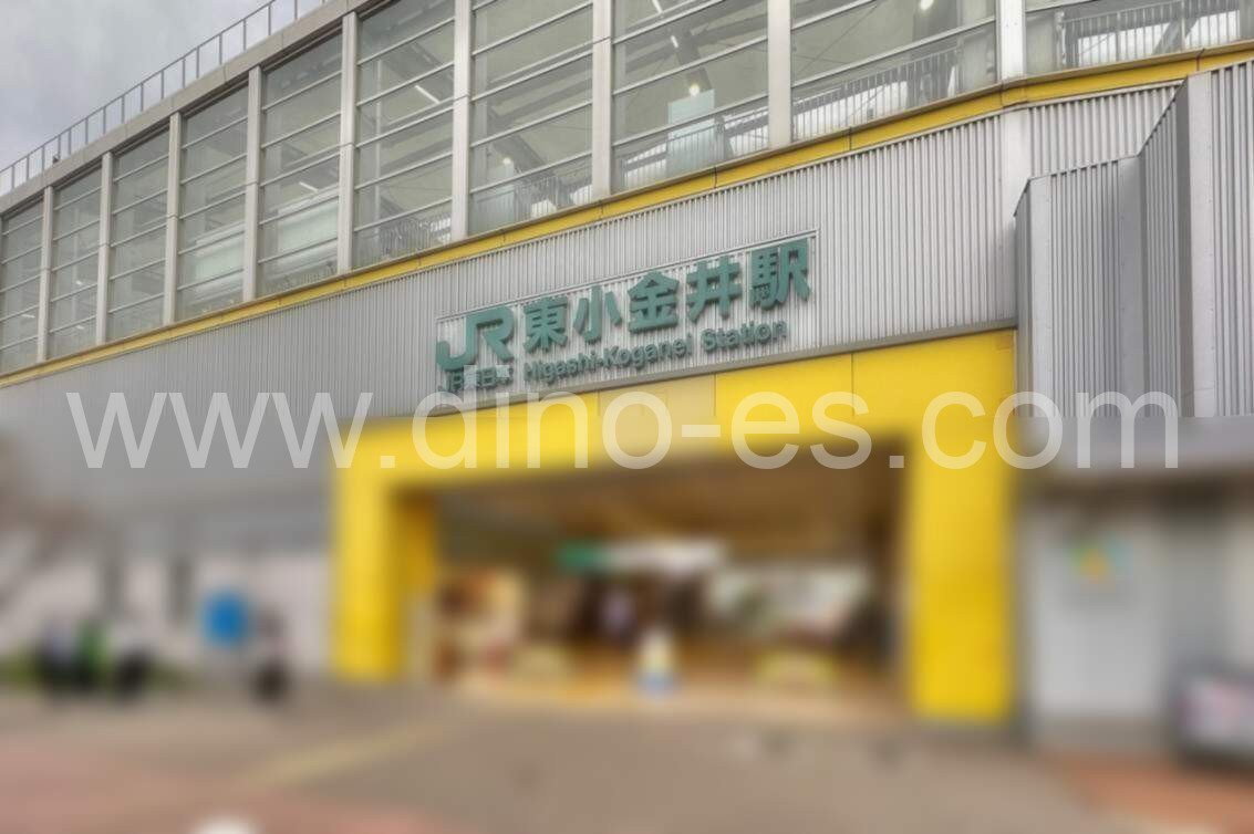 小金井メンズエステの駅前の写真です。picture of Koganei station where to find spa and massage salons