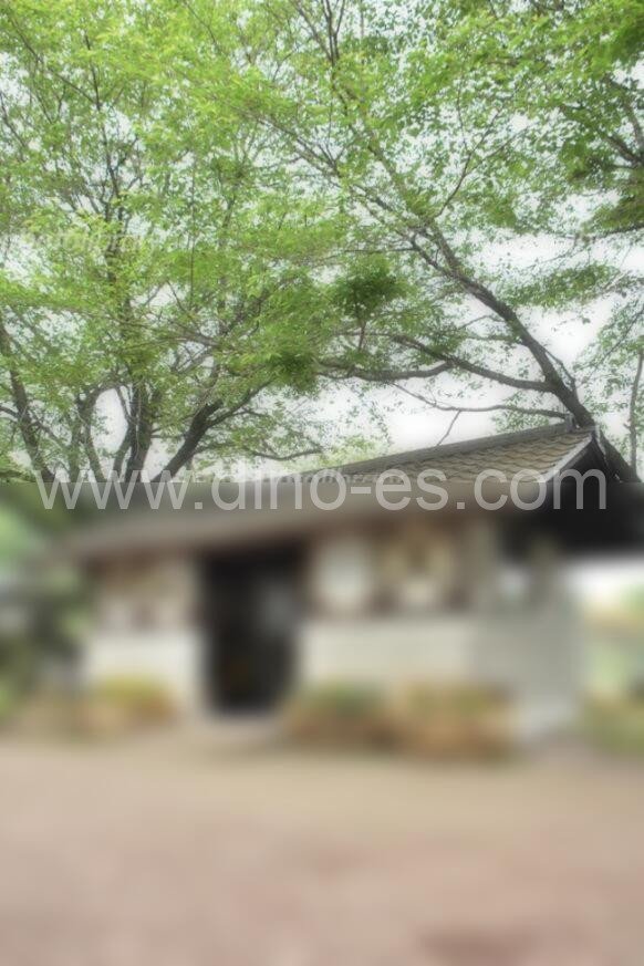 多田羅メンズエステの駅前の写真です。picture of Tatara station where to find spa and massage salons