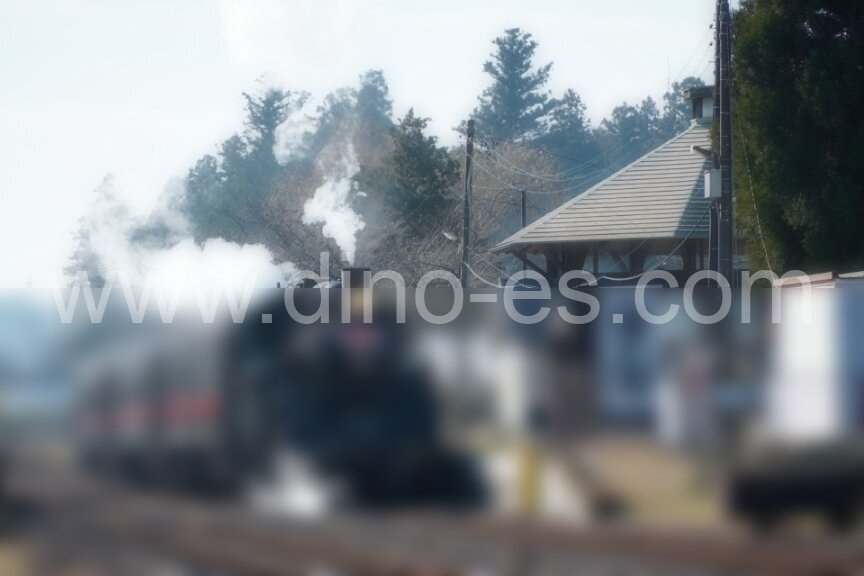 市塙メンズエステの駅前の写真です。picture of Ichihana station where to find spa and massage salons