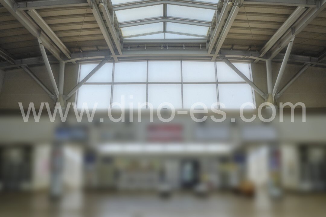 守谷メンズエステの駅前の写真です。picture of Moriya station where to find spa and massage salons