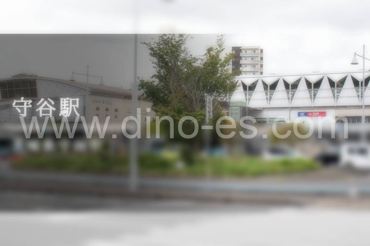 南守谷メンズエステの駅前の写真です。picture of Minami-Moriya station where to find spa and massage salons