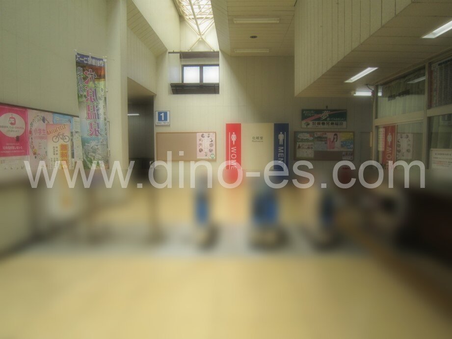 新守谷メンズエステの駅前の写真です。picture of Shin-Moriya station where to find spa and massage salons