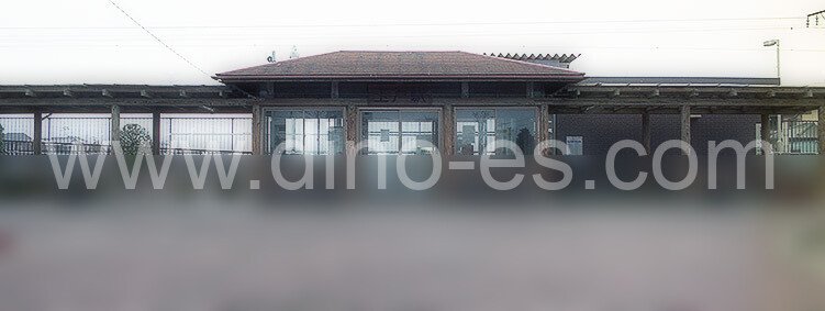 玉戸メンズエステの駅前の写真です。picture of Tamado station where to find spa and massage salons