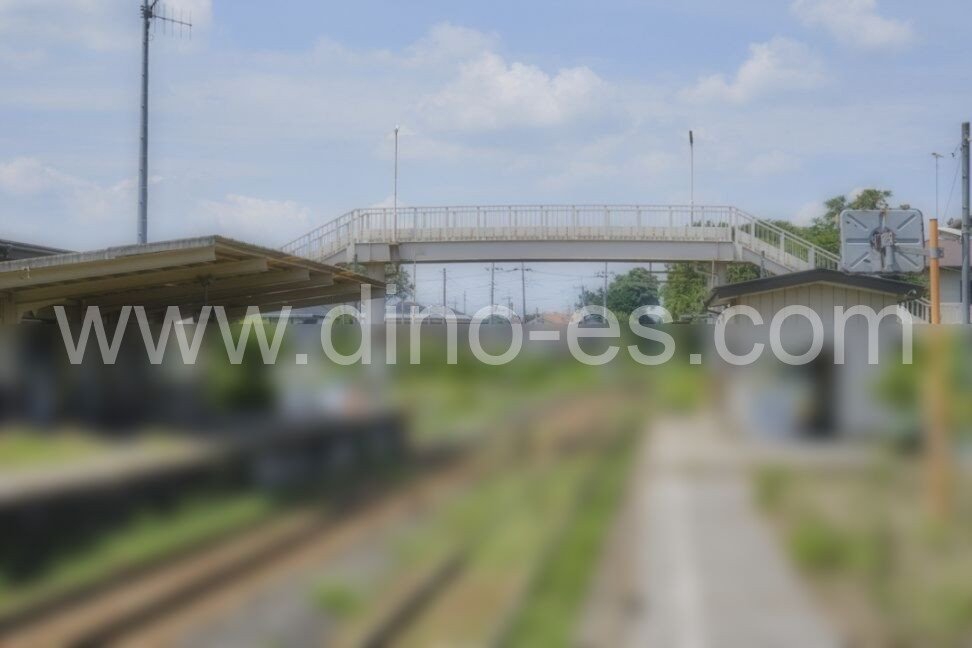 大田郷メンズエステの駅前の写真です。picture of Ōtagō station where to find spa and massage salons