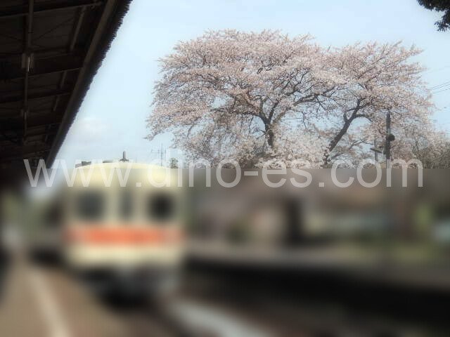 小絹メンズエステの駅前の写真です。picture of Kokinu station where to find spa and massage salons