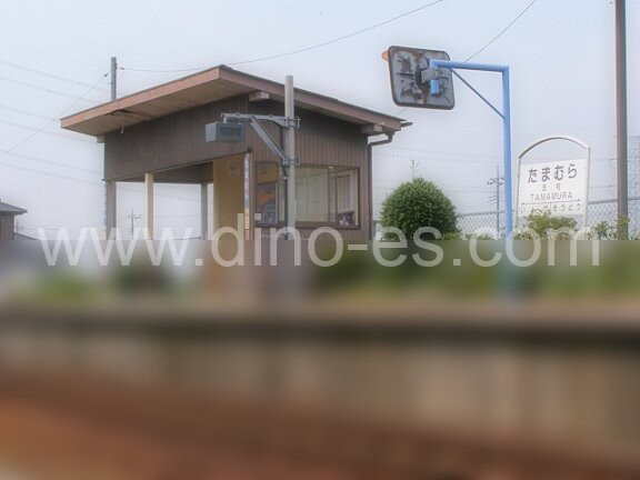 玉村メンズエステの駅前の写真です。picture of Tamamura station where to find spa and massage salons