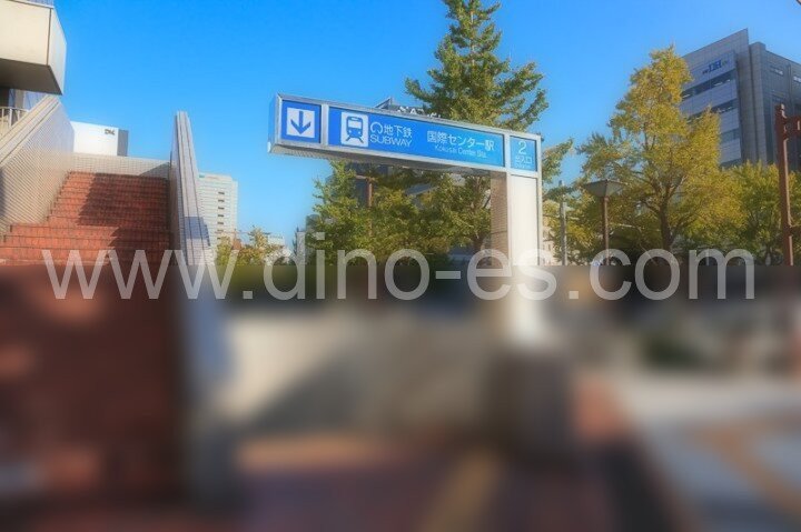 国際センターメンズエステの駅前の写真です。picture of International Center station where to find spa and massage salons