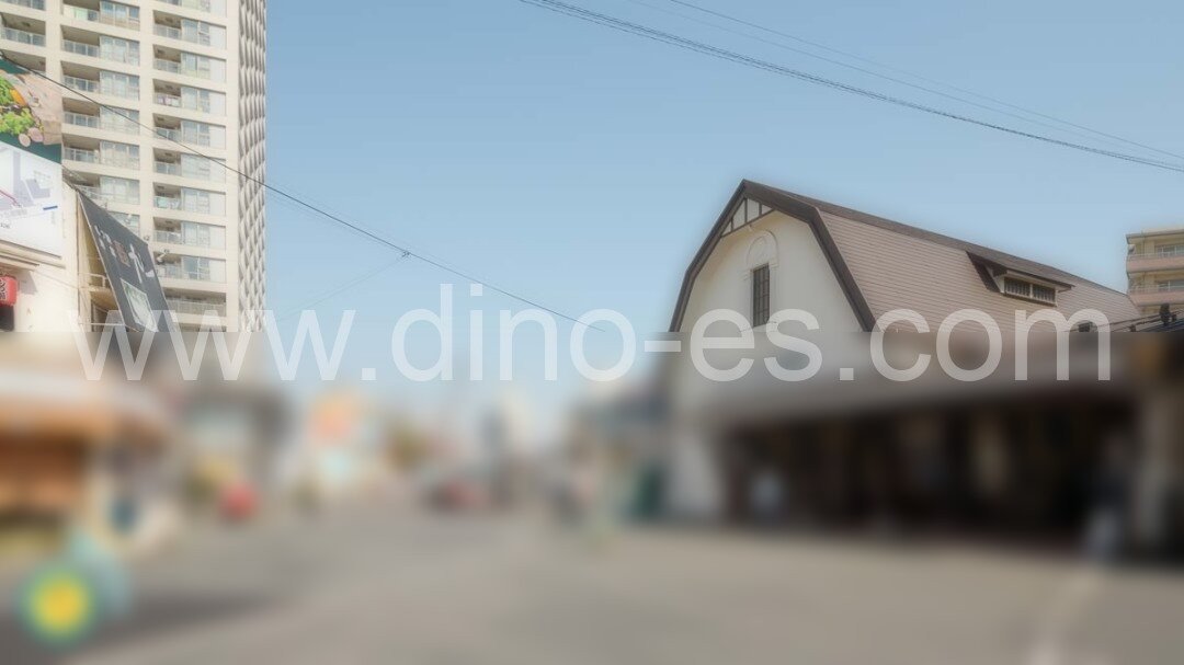 向ヶ丘メンズエステの駅前の写真です。picture of Mukōgaoka station where to find spa and massage salons
