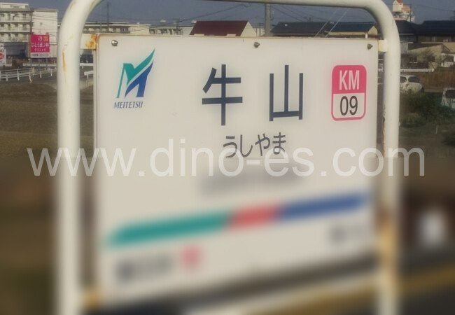 牛山メンズエステの駅前の写真です。picture of Ushiyama station where to find spa and massage salons