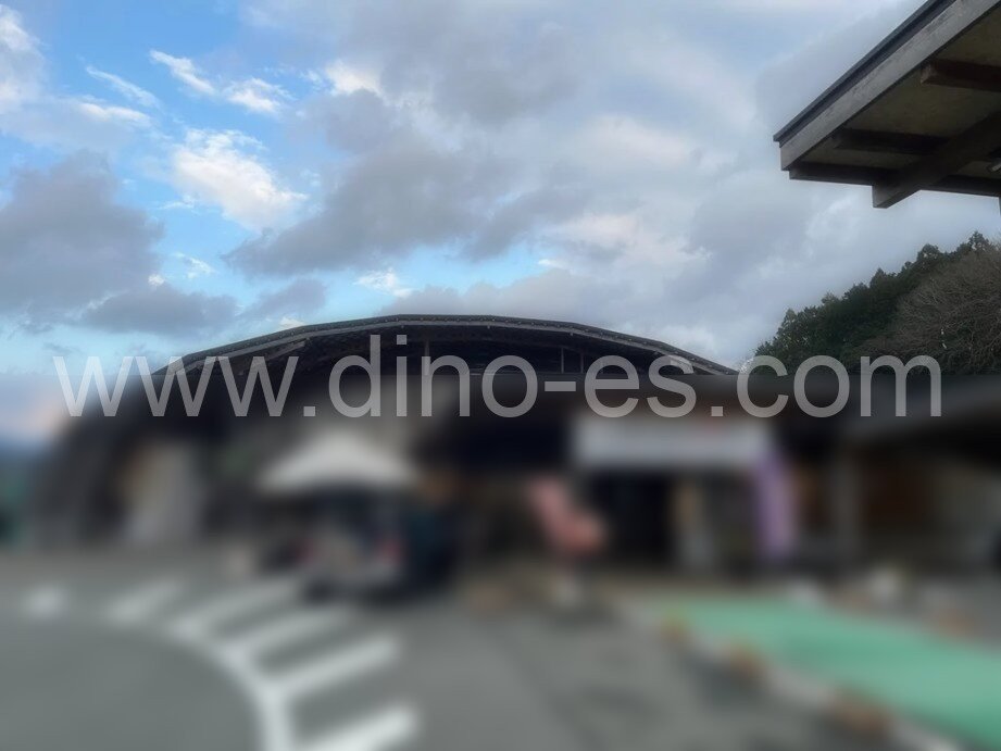 新城メンズエステの駅前の写真です。picture of Shinshiro station where to find spa and massage salons