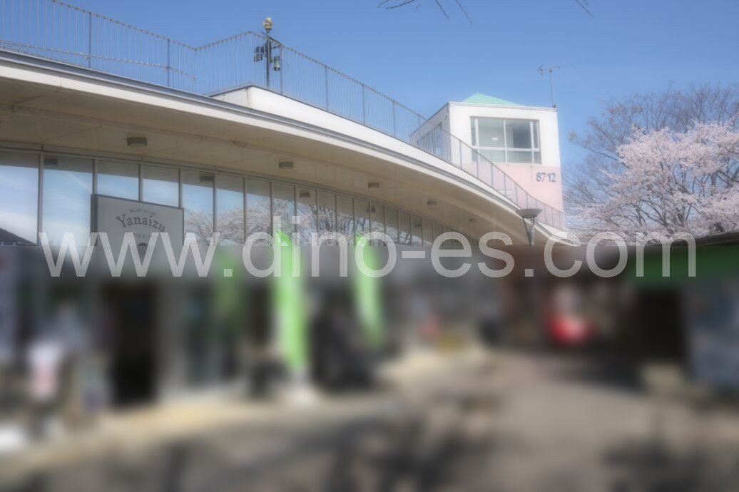 柳津(岐阜)メンズエステの駅前の写真です。picture of Yanaizu station where to find spa and massage salons