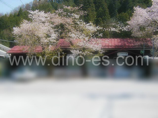 飛騨国府メンズエステの駅前の写真です。picture of Hida-Kokufu station where to find spa and massage salons