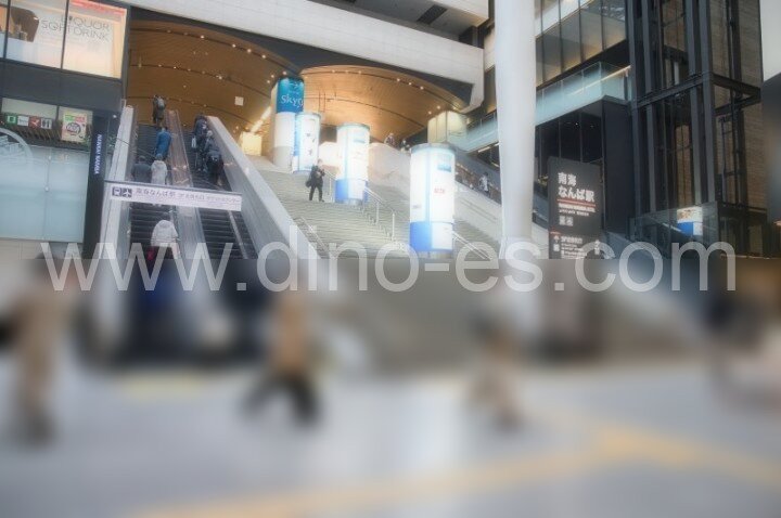 難波(南海)メンズエステの駅前の写真です。picture of Namba station where to find spa and massage salons