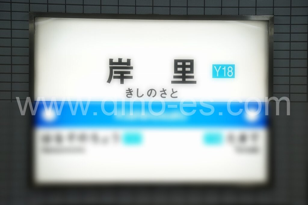 岸里メンズエステの駅前の写真です。picture of Kishinosato station where to find spa and massage salons