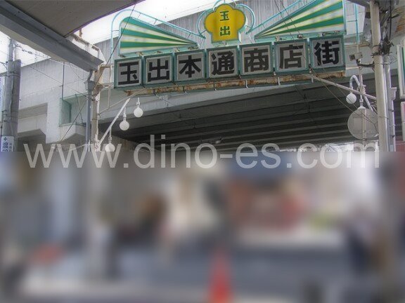 岸里玉出メンズエステの駅前の写真です。picture of Kishinosato-Tamade station where to find spa and massage salons