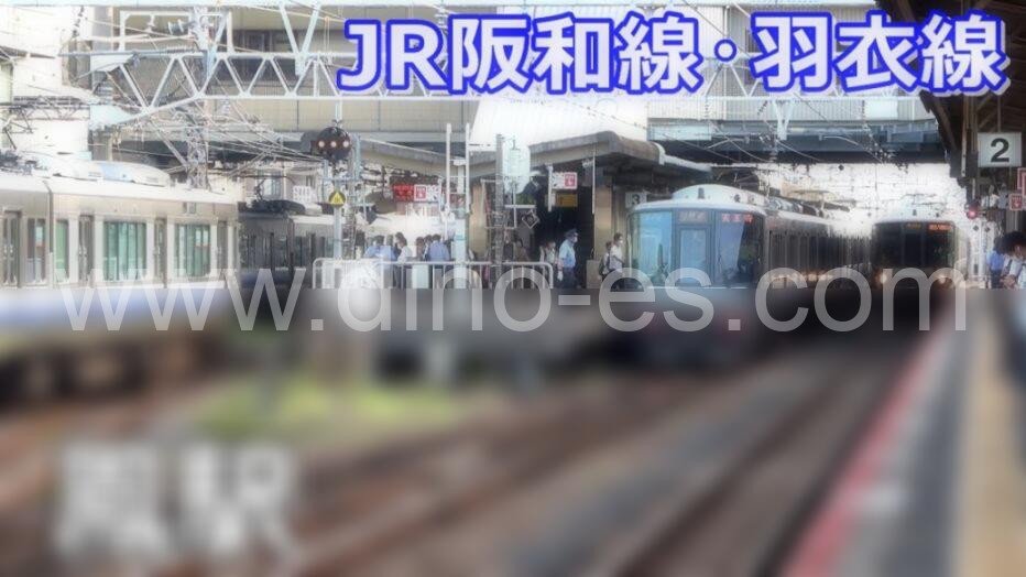 鳳メンズエステの駅前の写真です。picture of Ōtori station where to find spa and massage salons