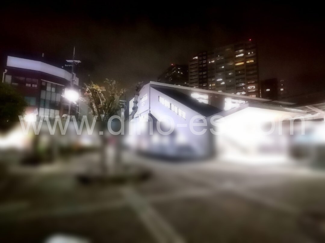 白鷺メンズエステの駅前の写真です。picture of Shirasagi station where to find spa and massage salons