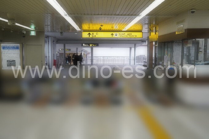 柴原メンズエステの駅前の写真です。picture of Shibahara station where to find spa and massage salons