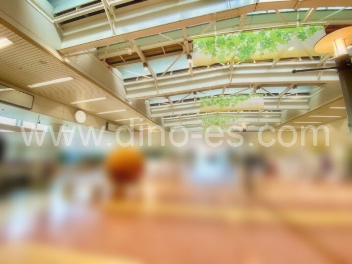 万博記念公園(大阪)メンズエステの駅前の写真です。picture of Bampaku-kinen-kōen station where to find spa and massage salons