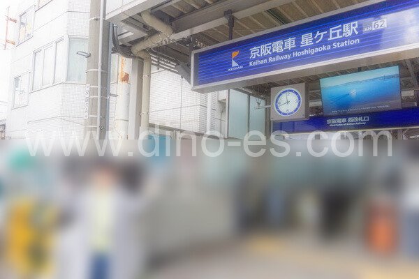 星ヶ丘(大阪)メンズエステの駅前の写真です。picture of Hoshigaoka station where to find spa and massage salons