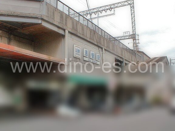 恩智メンズエステの駅前の写真です。picture of Onji station where to find spa and massage salons