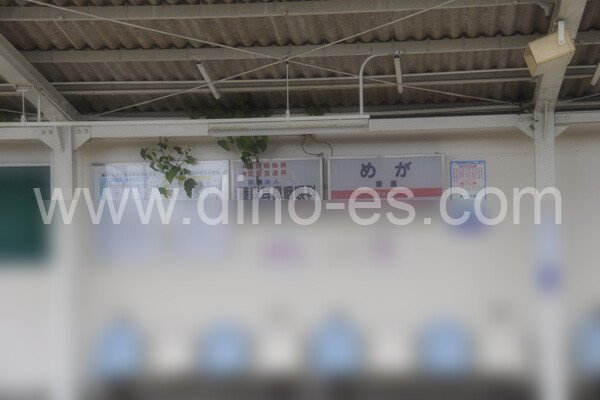 妻鹿メンズエステの駅前の写真です。picture of Mega station where to find spa and massage salons