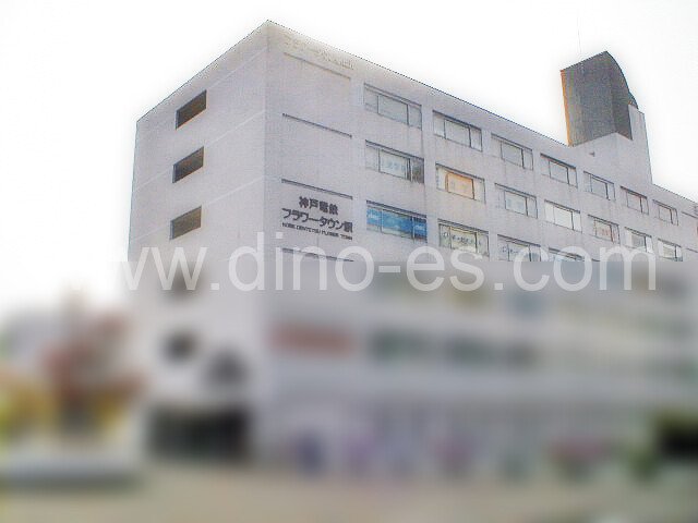 フラワータウンメンズエステの駅前の写真です。picture of Flower Town station where to find spa and massage salons