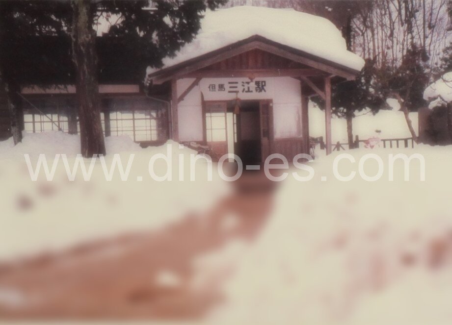 但馬三江メンズエステの駅前の写真です。picture of Tajima Sankō station where to find spa and massage salons