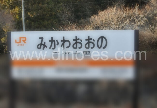 三河大野メンズエステの駅前の写真です。picture of Mikawa-Ōno station where to find spa and massage salons