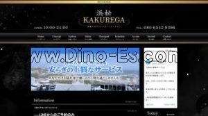 浜松駅近くのメンズエステ店舗（浜松KAKUREGA） | DINOエステ（ディノエステ）