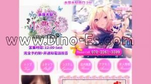 本厚木駅近くのメンズエステ店舗（小悪魔） | DINOエステ（ディノエステ）