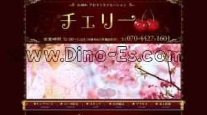 北浦和駅近くのメンズエステ店舗（チェリー） | DINOエステ（ディノエステ）
