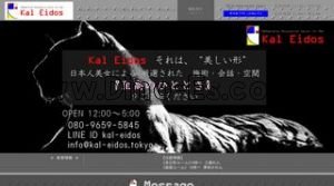 秋葉原の「Kal Eidos カルエイドス」電話番号：080-9659-5845