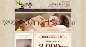 大門駅近くのメンズエステ店舗（椿） | DINOエステ（ディノエステ）