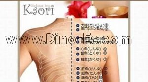 リラクゼーション薫 メンズエステ | DINOエステ(ディノエステ) 新豊田駅近くのメンズエステ店舗(リラクゼーション薫) | DINOエステ(ディノエステ)