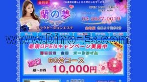 金町の「蘭の夢」電話番号：03-3627-0019