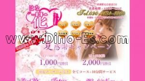 清瀬駅近くのメンズエステ店舗（花 はな） | DINOエステ（ディノエステ）