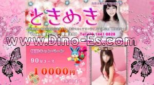 新越谷駅近くのメンズエステ店舗（ときめき） | DINOエステ（ディノエステ）