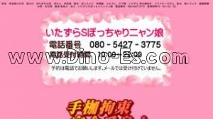 西川口の「いたずらSぽっちゃりニャン娘」電話番号：080-5427-3775