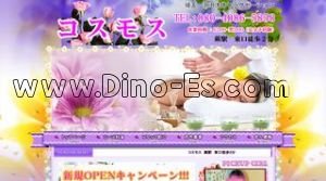 蕨の「コスモス」電話番号：080-4086-5858