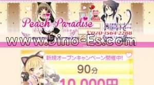 新丸子の「ピーチパラダイス」電話番号：070-1564-2288