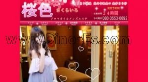桜色 メンズエステ | DINOエステ(ディノエステ) 高円寺駅近くのメンズエステ店舗(桜色) | DINOエステ(ディノエステ)