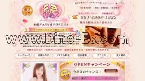 勝田台の「癒し」電話番号：090-9158-1848