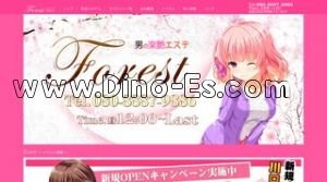 Forest フォレスト メンズエステ | DINOエステ(ディノエステ) 川口駅近くのメンズエステ店舗(Forest フォレスト) | DINOエステ(ディノエステ)