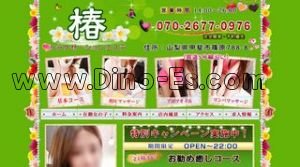 竜王駅近くのメンズエステ店舗（椿） | DINOエステ（ディノエステ）